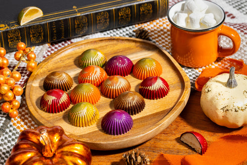 Assorted colorful chocolates collection for Fall