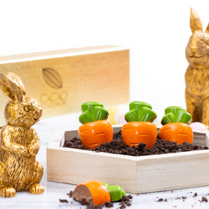 Bunny Bites Carrot Shaped Artisan Chocolates