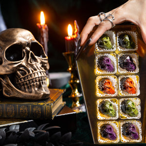 Open Death by Chocolate Coffin Box 10-piece displaying handcrafted gourmet chocolates.