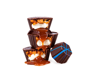GOURMET CUPS