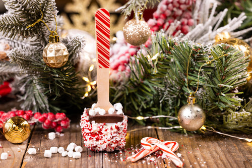 Peppermint Hot Chocolate Stick