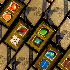Gourmet 2 Piece Chocolate Gift Box