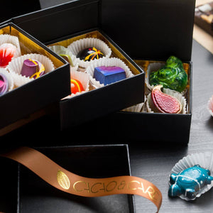 12 piece Signature Collection Box